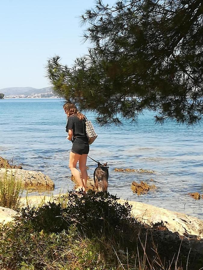 Villa Caroline Trogir Kültér fotó